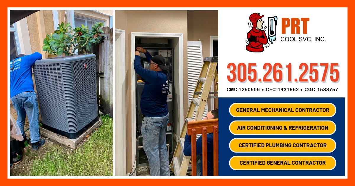 Our Services