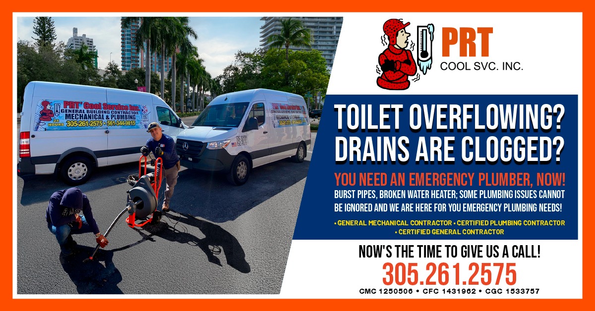 Toilet overflowing? Drains are clogged? II
